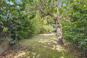 Photo 24- click for photo gallery